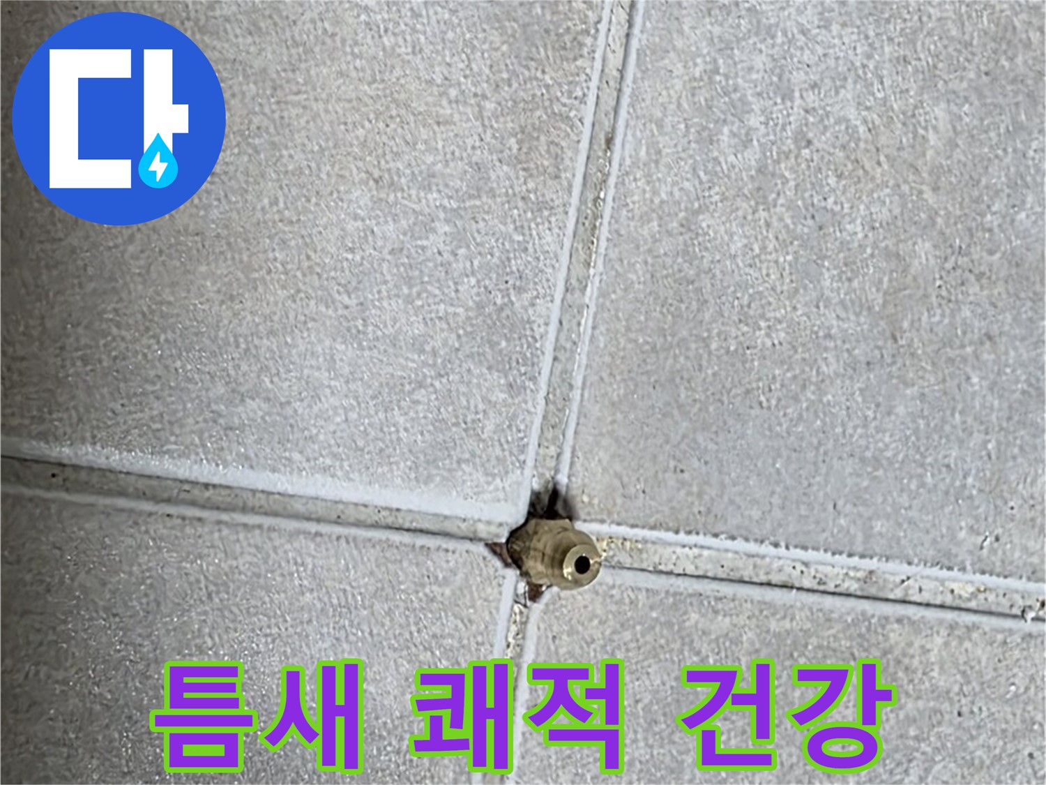 양주 옥정동 율정마을 아파트 누수 - 타일 틈새 누수, 완벽하게 차단하고 쾌적한 환경에서 건강하게 생활하세요!