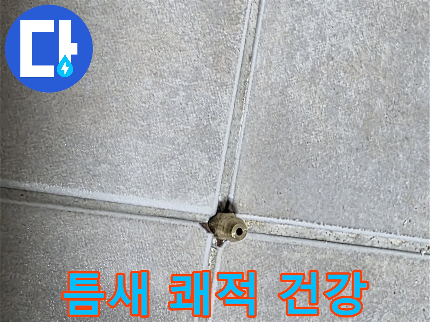 양주 옥정동 율정마을 아파트 누수 - 타일 틈새 누수, 완벽하게 차단하고 쾌적한 환경에서 건강하게 생활하세요!