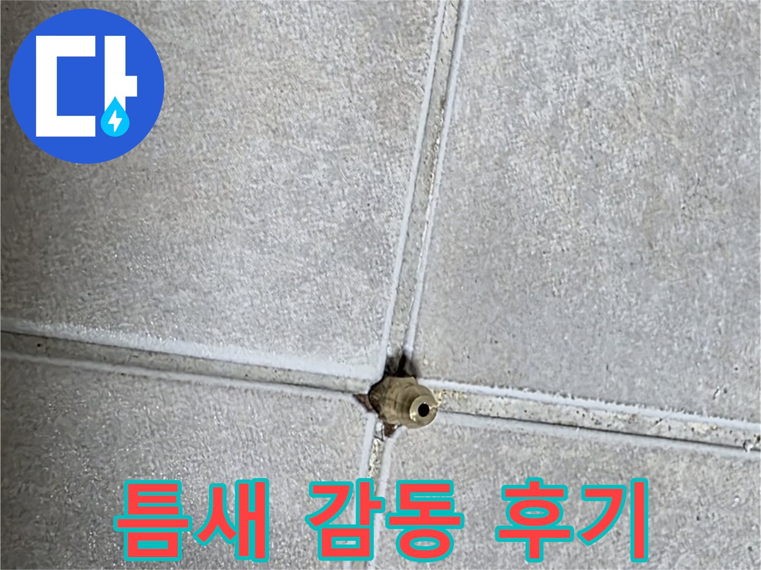 양주 옥정동 율정마을 아파트 누수 - 타일 틈새 누수, 완벽하게 해결하고 고객님께서 감동하신 후기를 확인하세요!