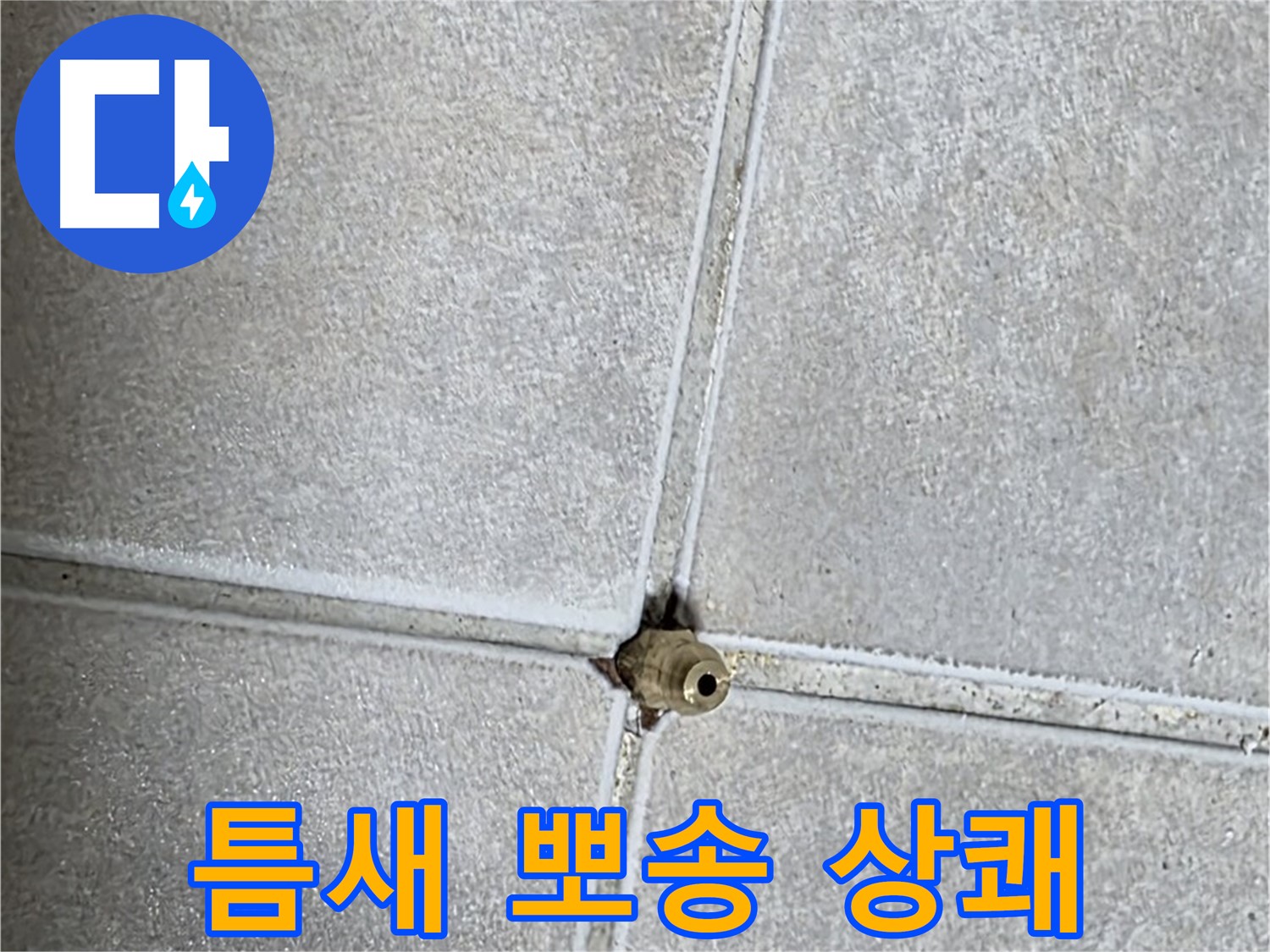 양주 옥정동 율정마을 아파트 누수 - 타일 틈새 누수, 완벽하게 해결하고 뽀송뽀송한 욕실에서 상쾌한 하루를 시작하세요!