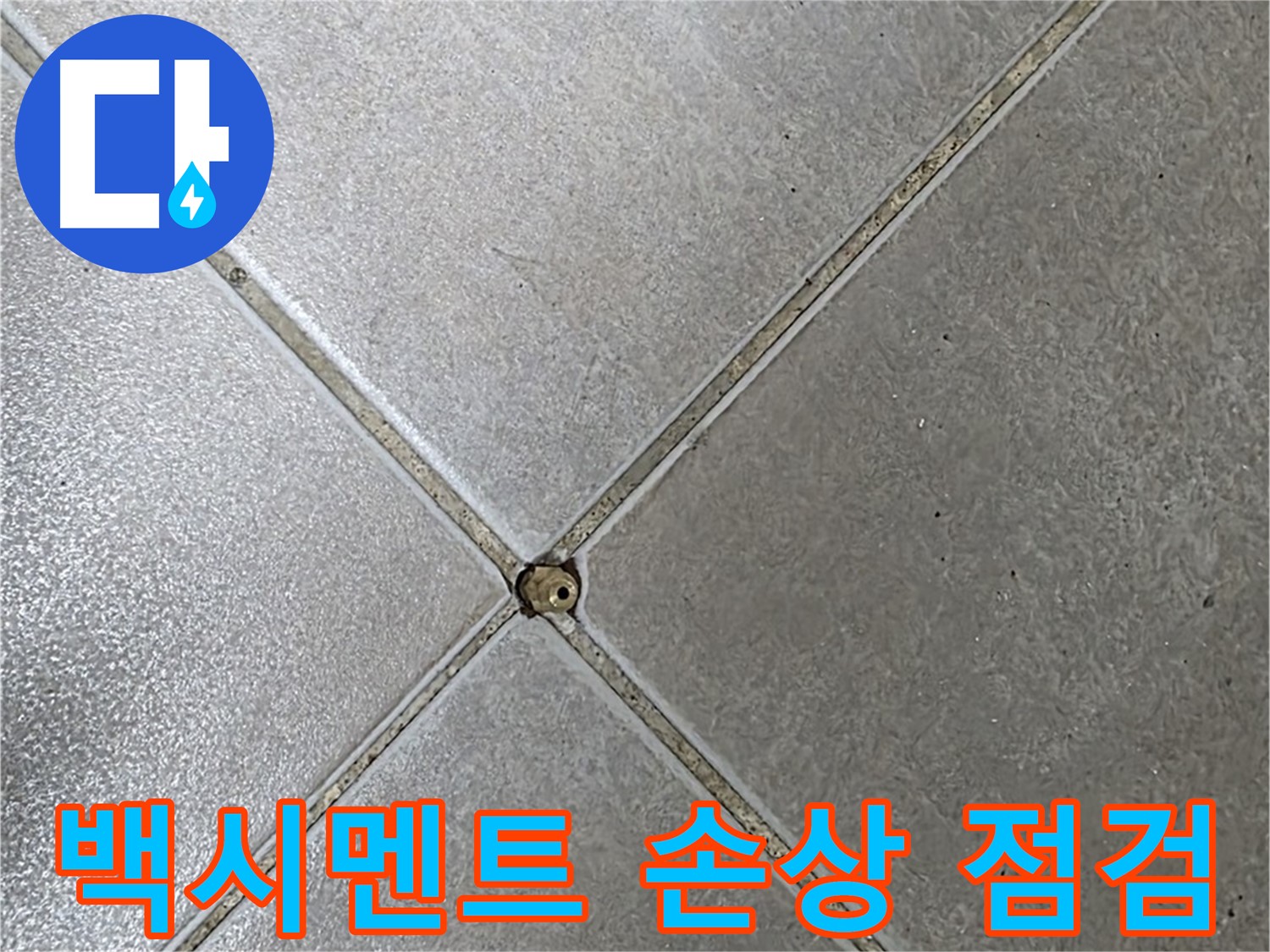 양주시 옥정동 율정마을 13단지 아파트 타일 틈새 백시멘트 손상 - 초기 점검 과정입니다.