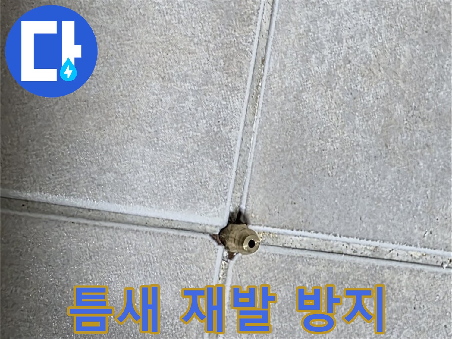 옥정 율정마을 아파트 누수 - 타일 틈새 누수, 재발 방지까지 완벽하게 책임집니다!