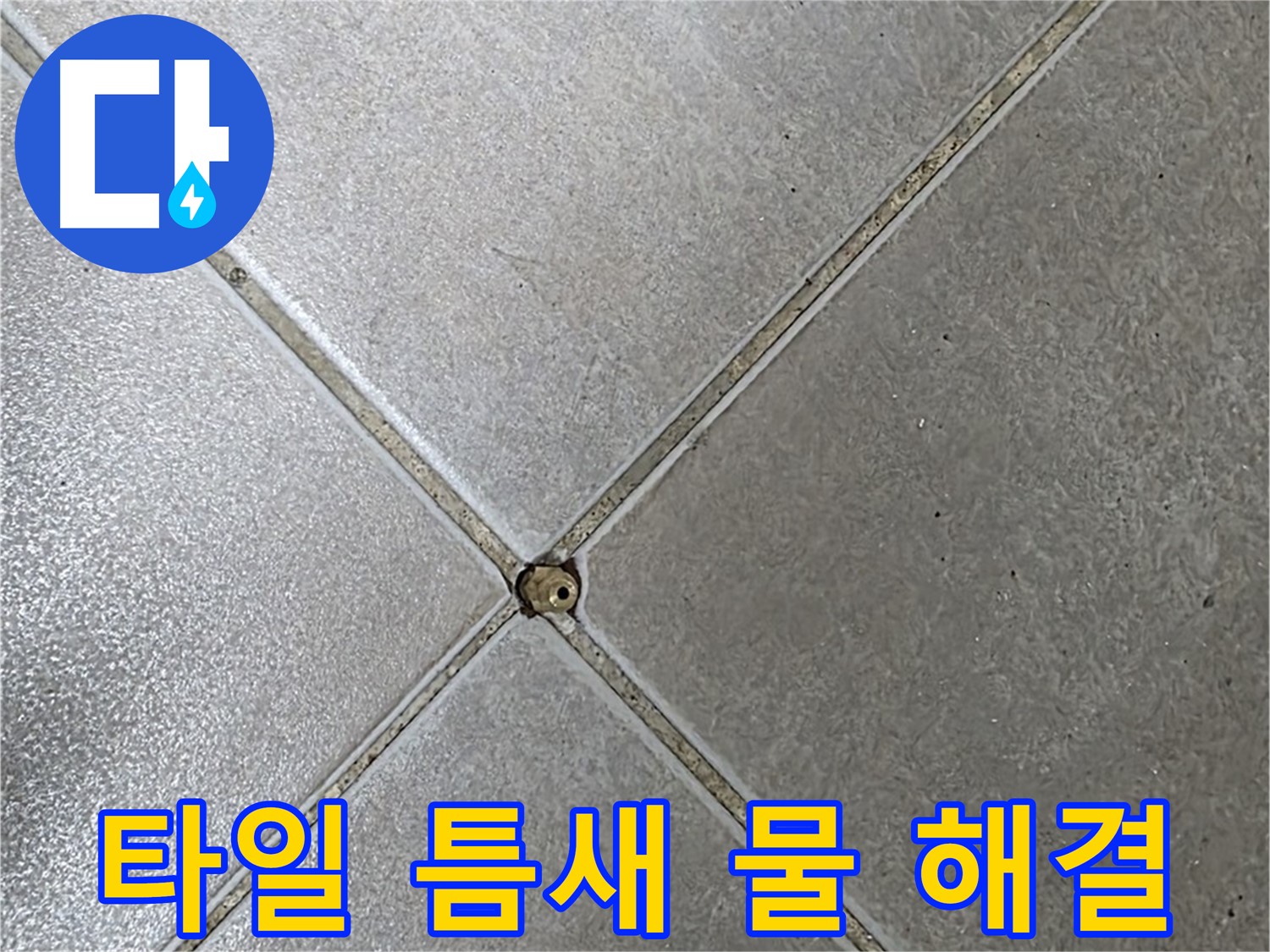 옥정 율정마을 아파트 타일 틈새 물 - 누수 전문가가 정확하게 진단하고 해결해 드립니다.
