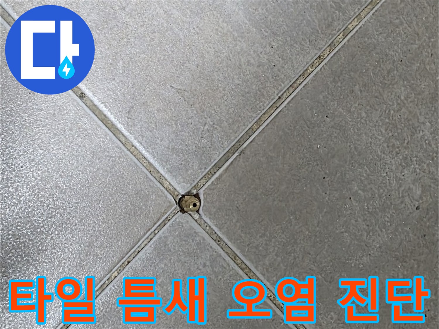 옥정 율정마을 아파트 타일 틈새 오염 - 누수 전문가가 정확하게 진단해 드립니다.