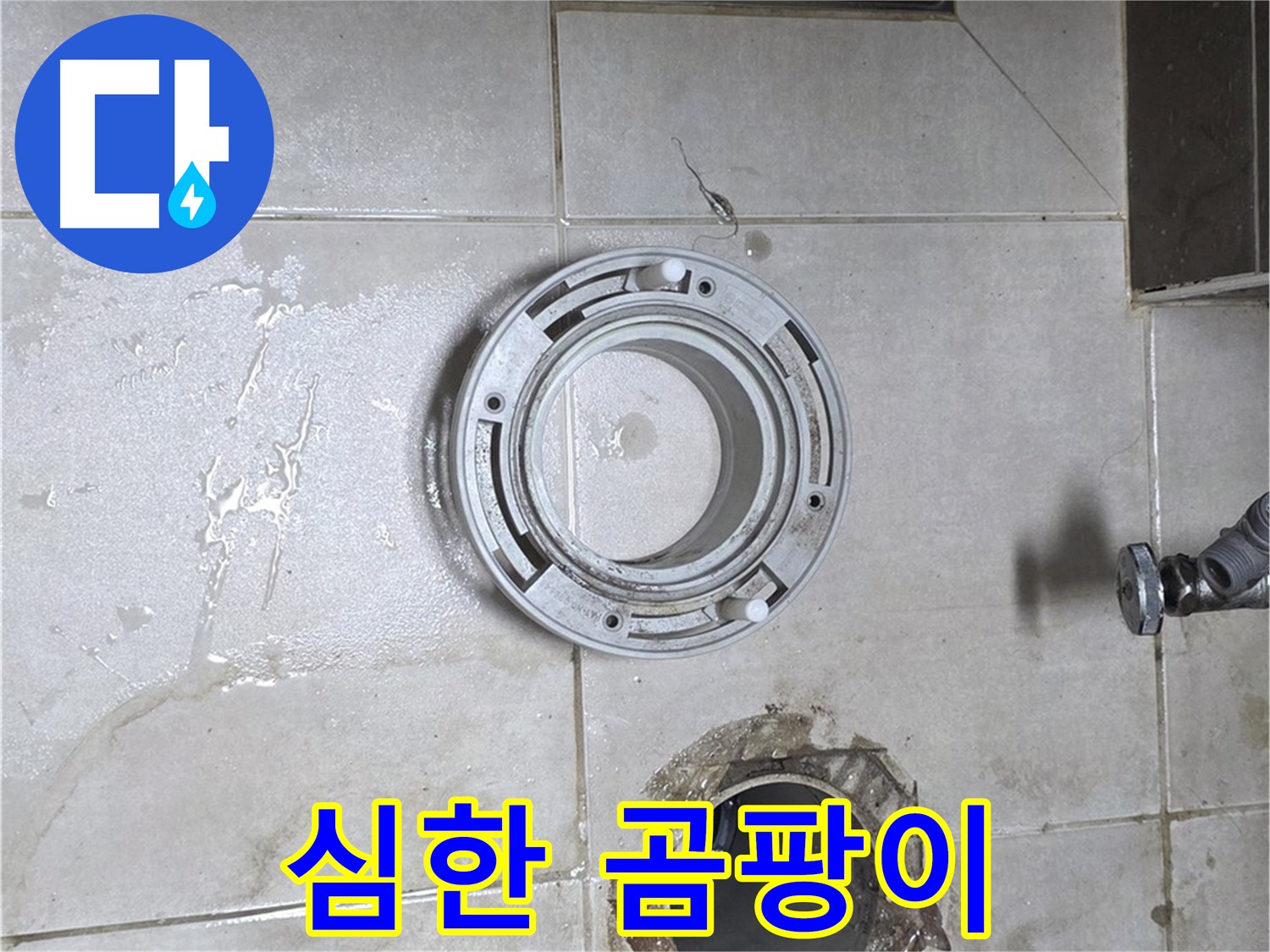 옥정동 율정마을 아파트 변기 누수 - 변기 주변에 곰팡이가 심하게 슬어있는 모습