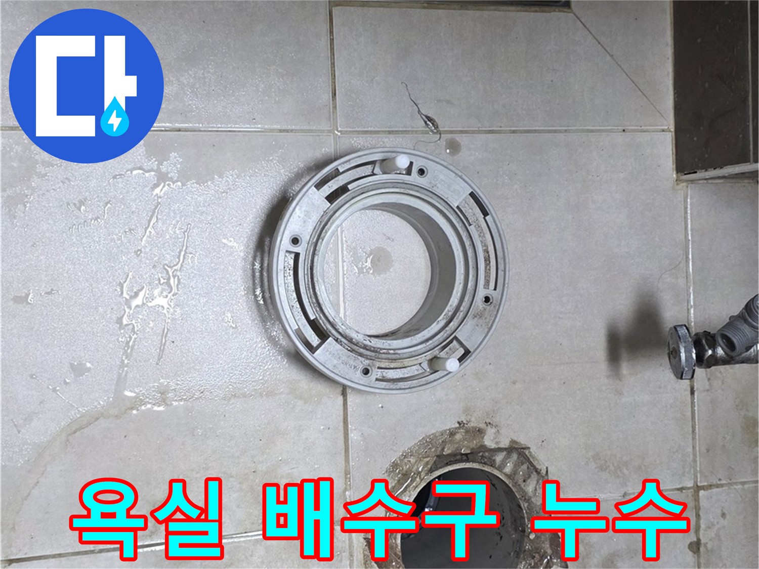 옥정동 율정마을 아파트 욕실 배수구 주변 누수 - 누수 문제 해결 전문가의 완벽 해결