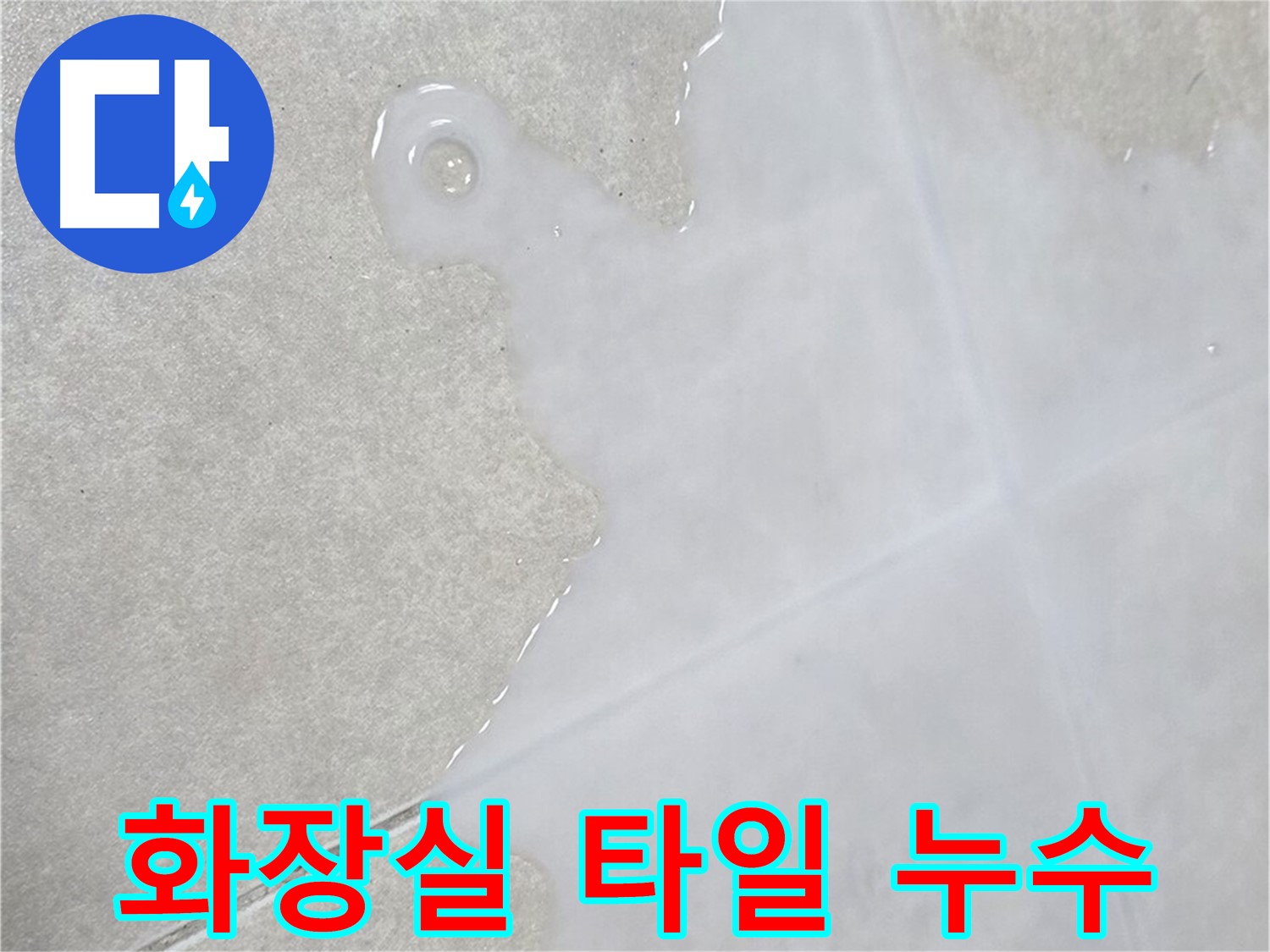 옥정동 율정마을 아파트 화장실 타일 누수 발생 - 전문 장비로 누수 지점 정확히 탐지
