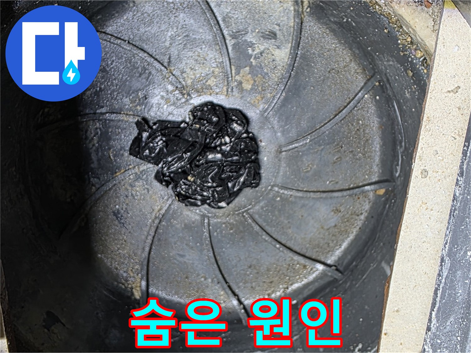 욕실 배수구 - 숨겨진 머리카락 누수 원인 발견!