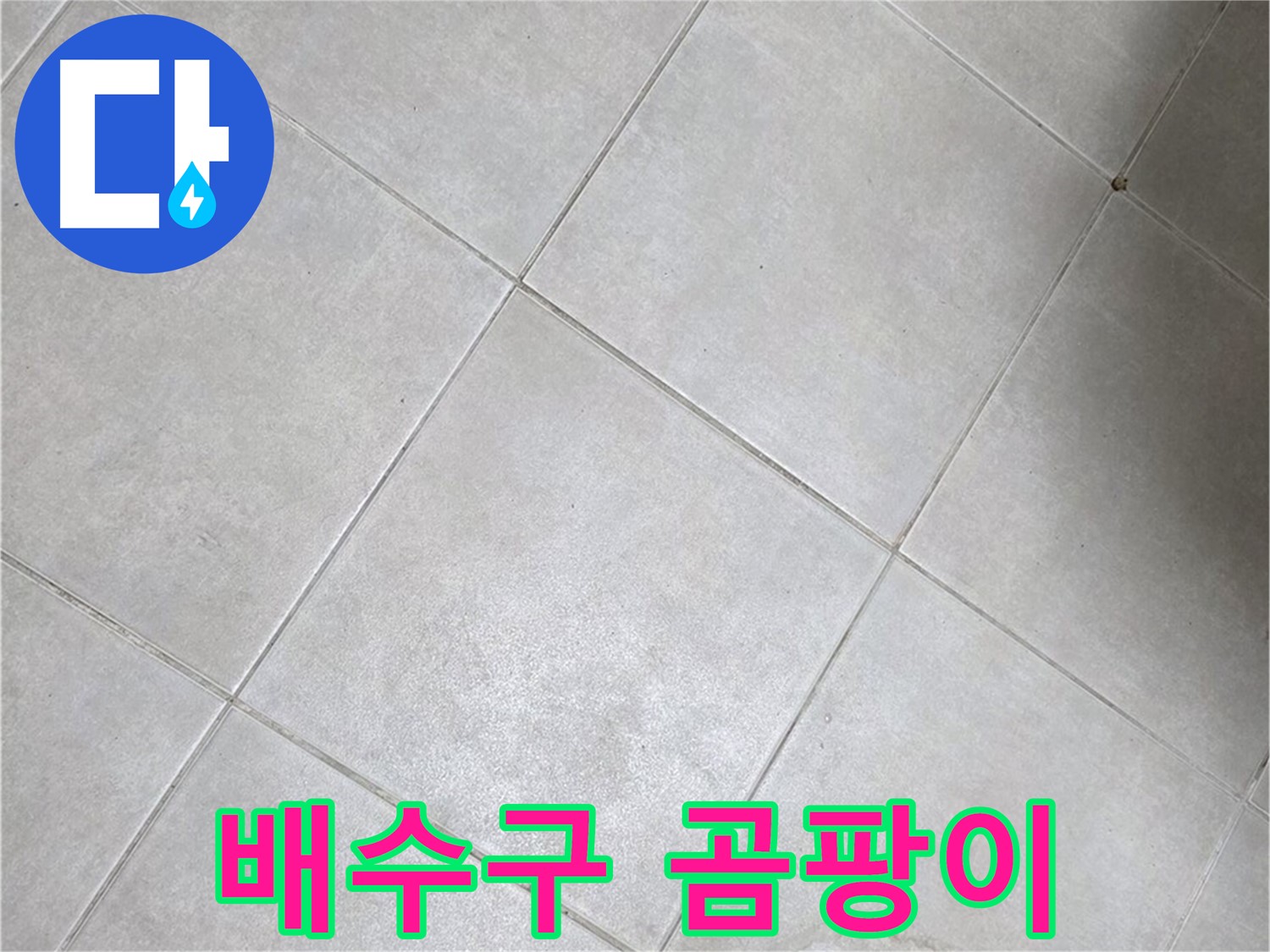 욕실 배수구 주변의 곰팡이 - 누수 신호일 수 있습니다