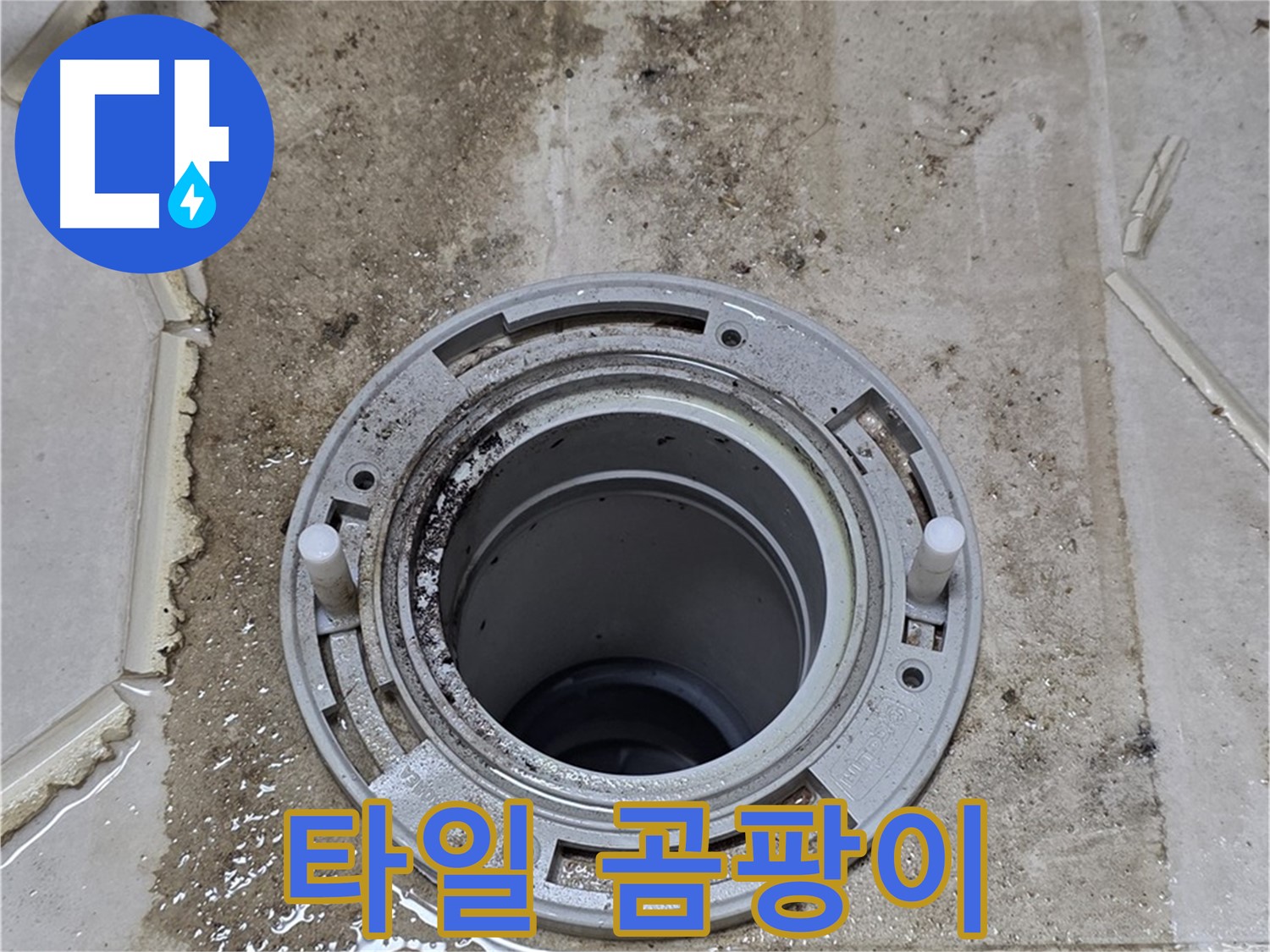 타일 틈새에 핀 곰팡이 - 누수로 인해 습기가 많아 곰팡이가 번식한 모습입니다.