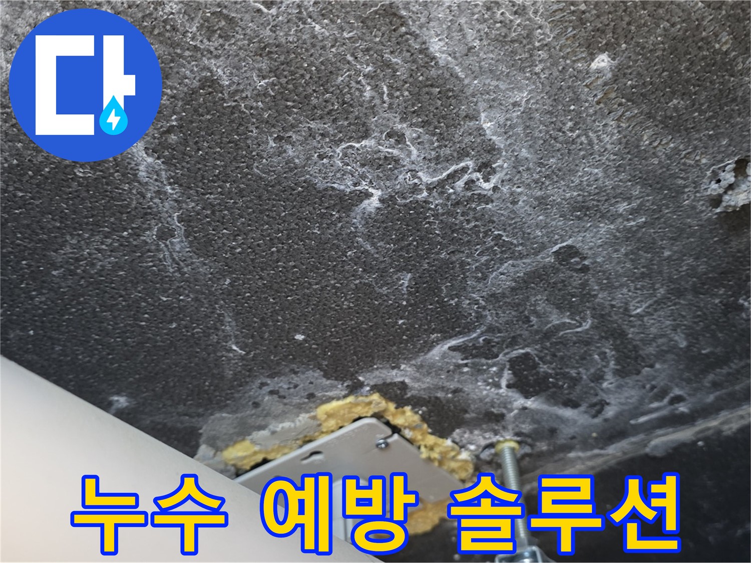 동패동 아파트 누수 - 천장 누수 예방 솔루션 제공