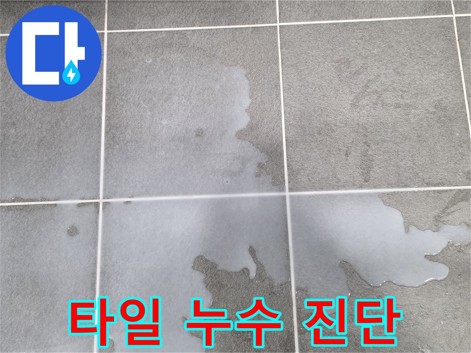 운정 아파트 욕실 타일 틈새 누수 - 전문 장비로 정밀 누수 진단