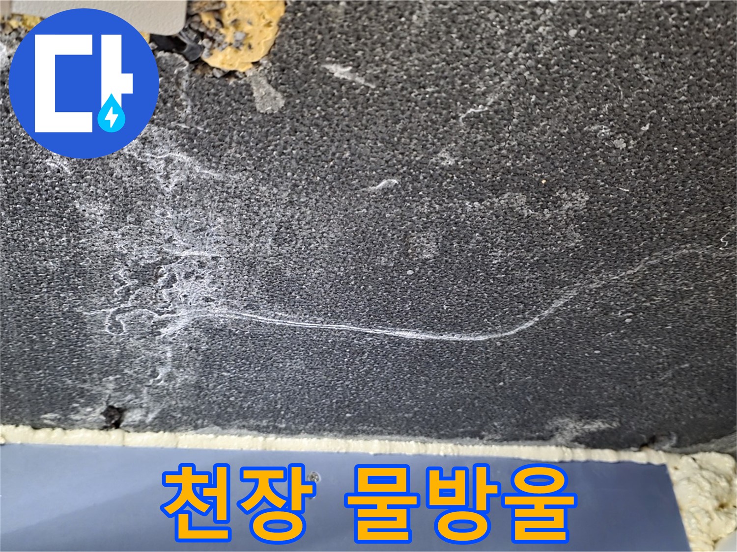 운정 아파트 천장 누수 - 물방울 맺힘 현상, 누수 피해 초기 진단