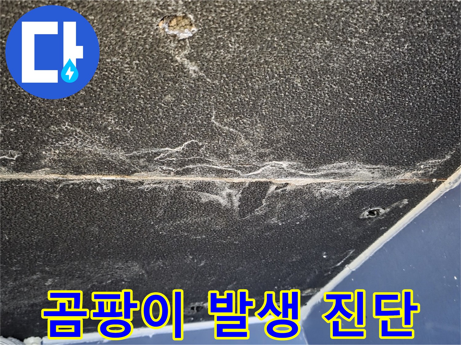 운정어반프라임 곰팡이 발생 가능성 - 누수 환경에서의 곰팡이 위험
