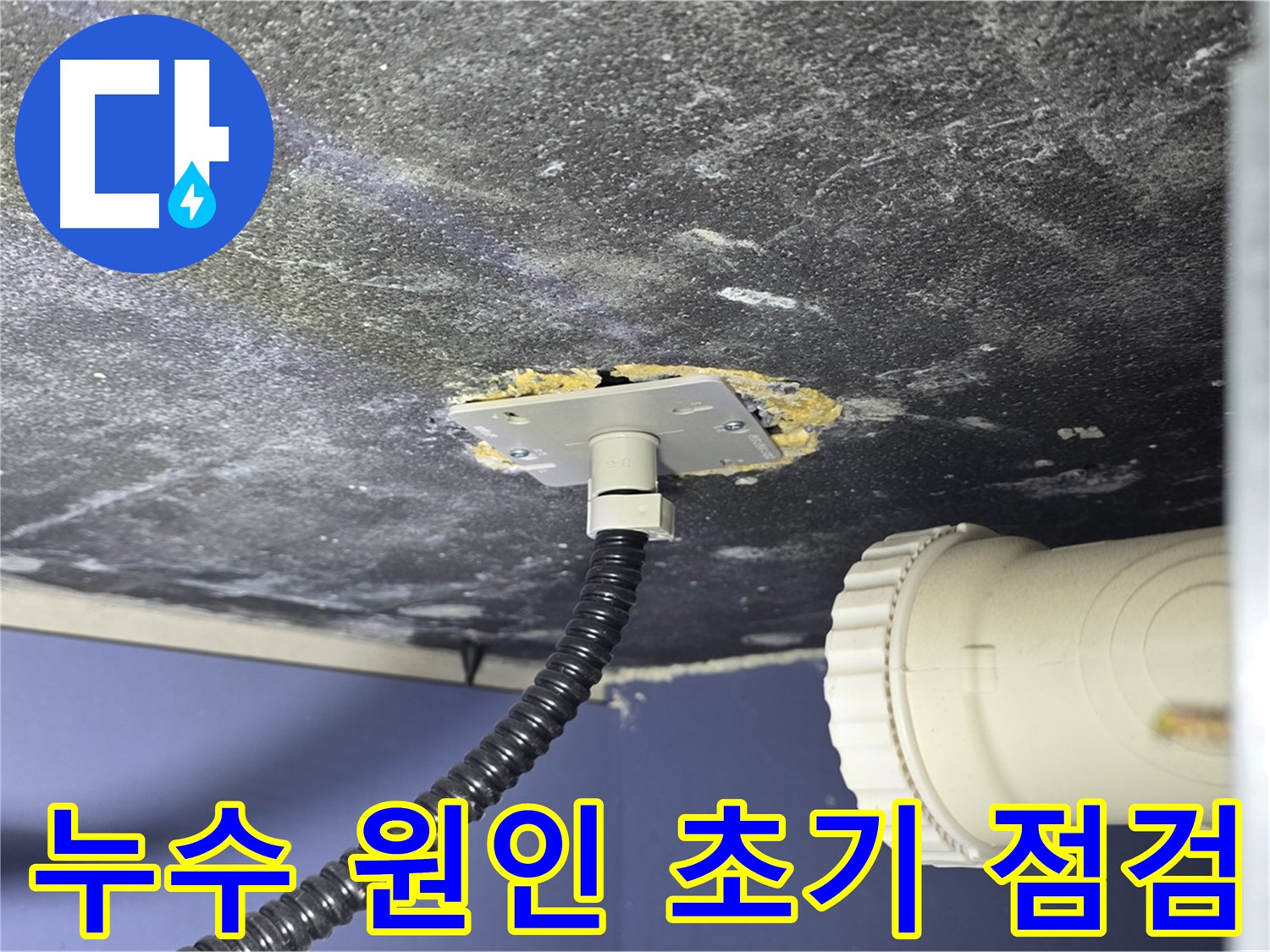 운정어반프라임 욕조 누수 - 누수 원인 파악을 위한 초기 점검 모습