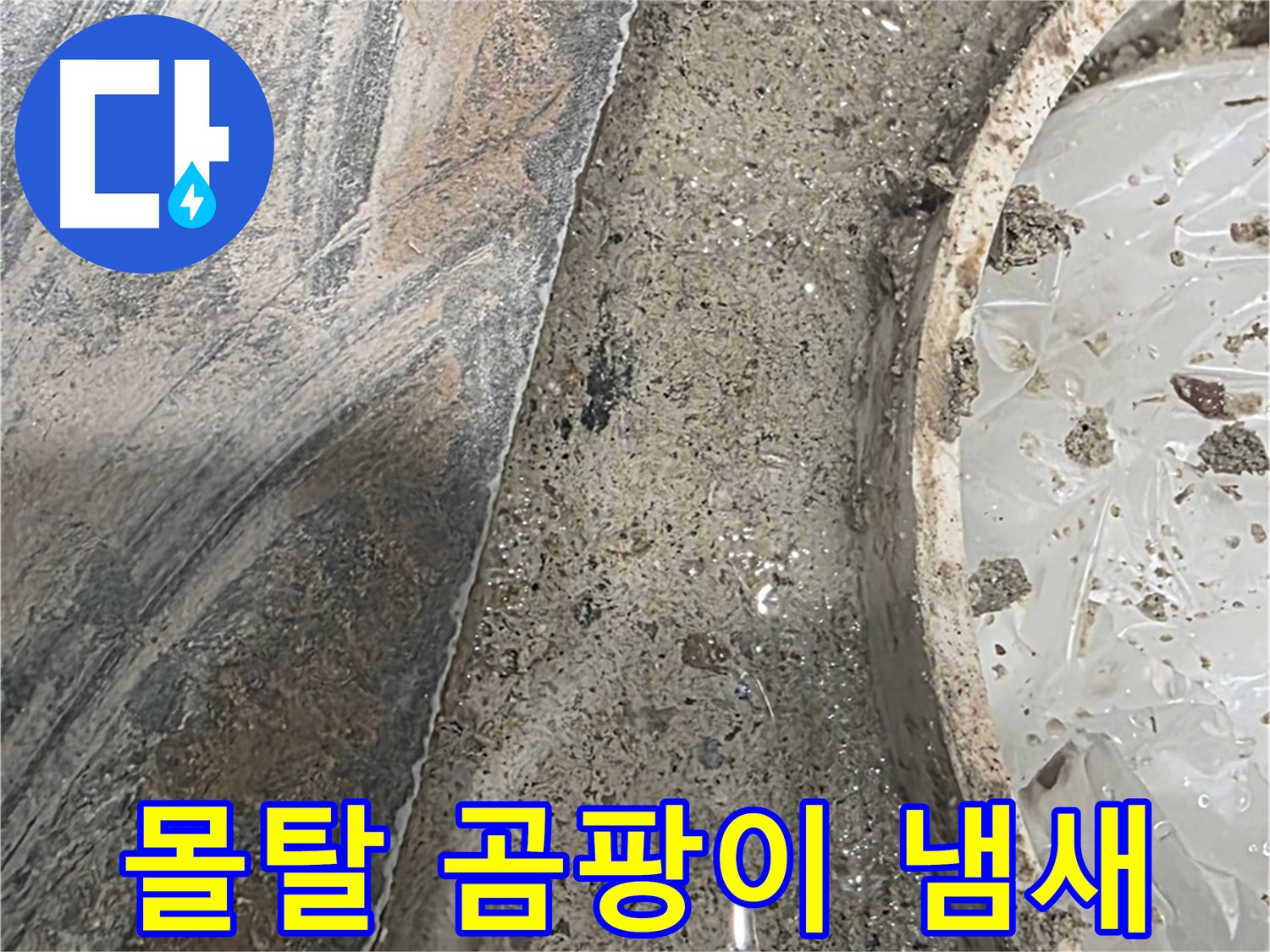유가 주변 몰탈 곰팡이 - 습한 환경 - 누수 의심
