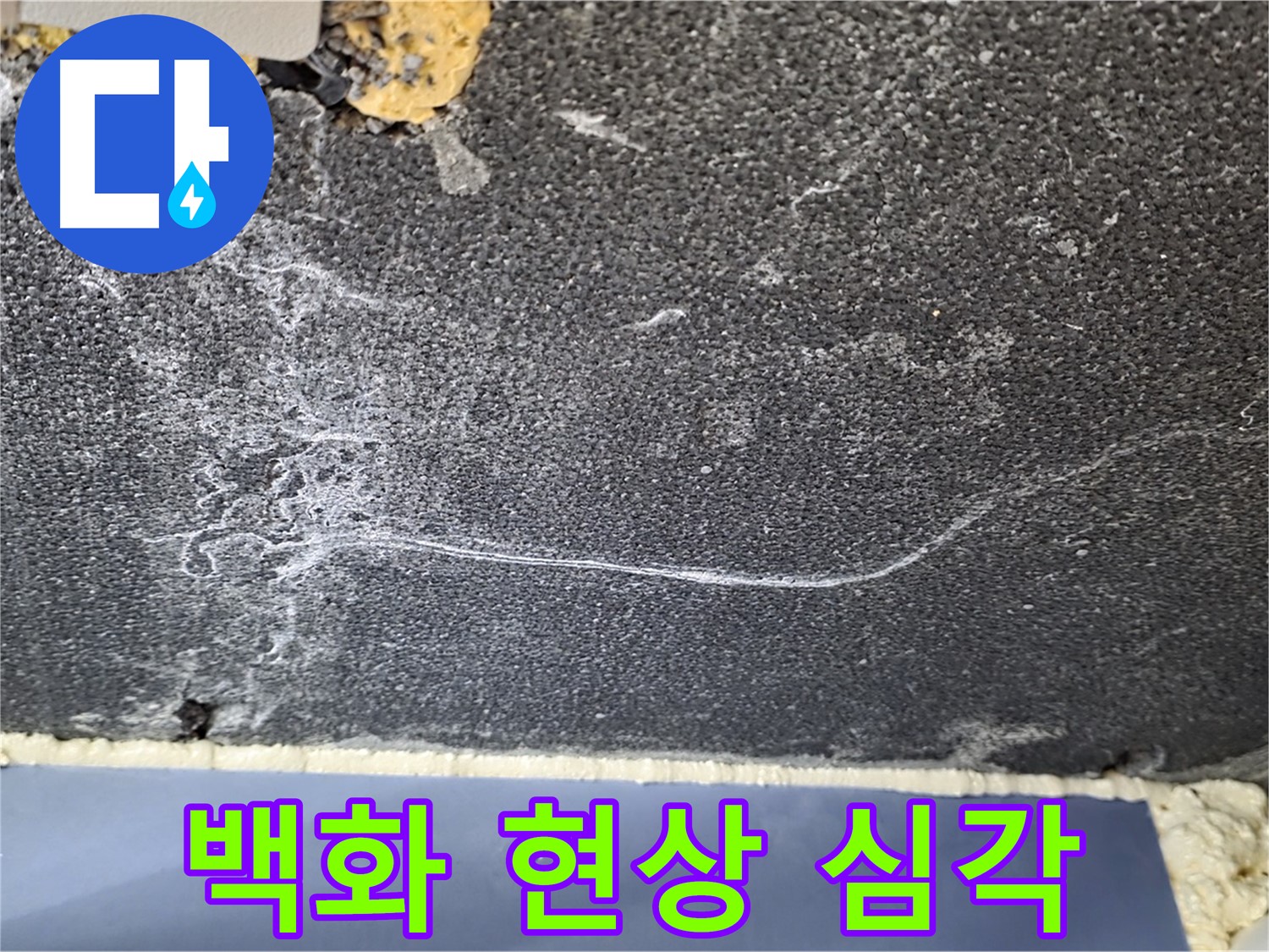 파주 동패동 아파트 천장 누수 - 백화 현상 심각, 누수 범위 검사