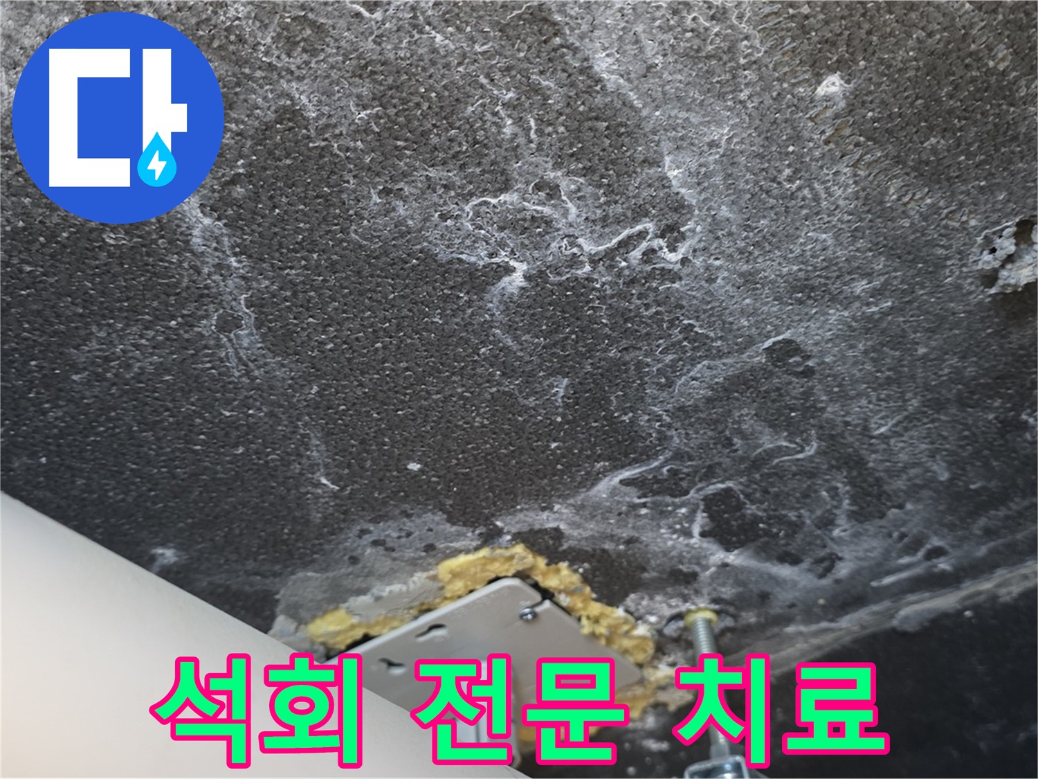 파주시 동패동 누수 - 석회 전문 치료 및 재발 방지 시공