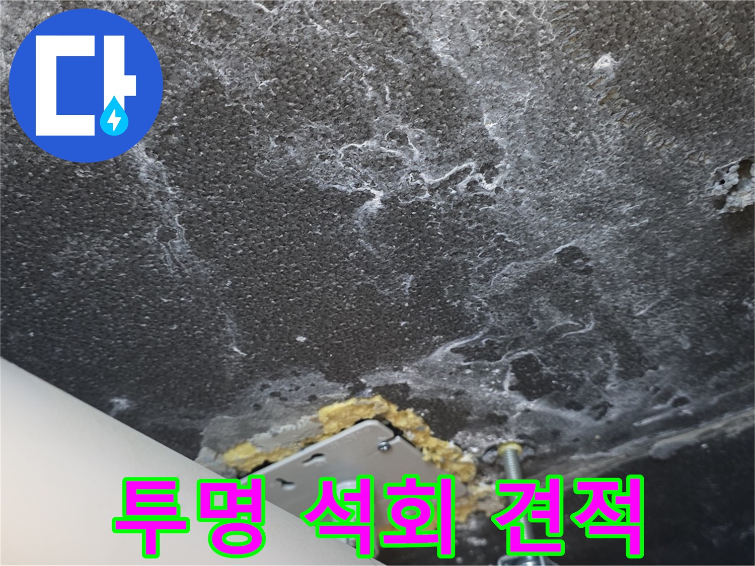 파주시 동패동 아파트 누수 - 석회 관련 투명하고 합리적인 견적 제공