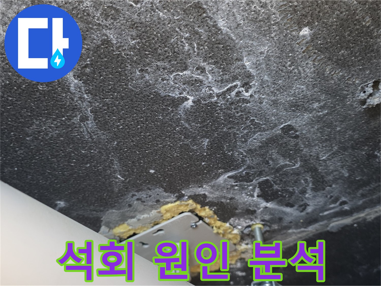 파주시 동패동 아파트 누수 - 천장 석회 누수 원인 정밀 분석 과정