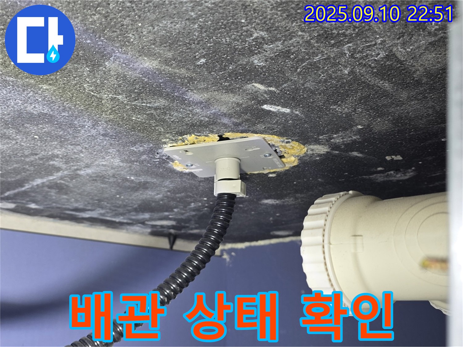 파주시 동패동 아파트 세면대 누수 - 배관 상태를 자세히 확인하는 모습 - 숙련된 기술로 문제점을 파악