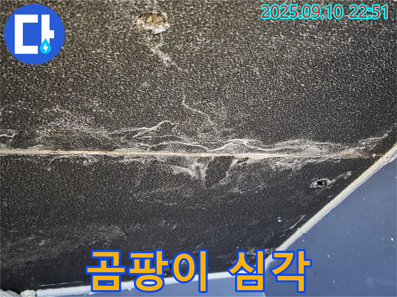 파주시 동패동 운정어반프라임 아파트 천장 - 곰팡이 오염이 매우 심각한 상태입니다.