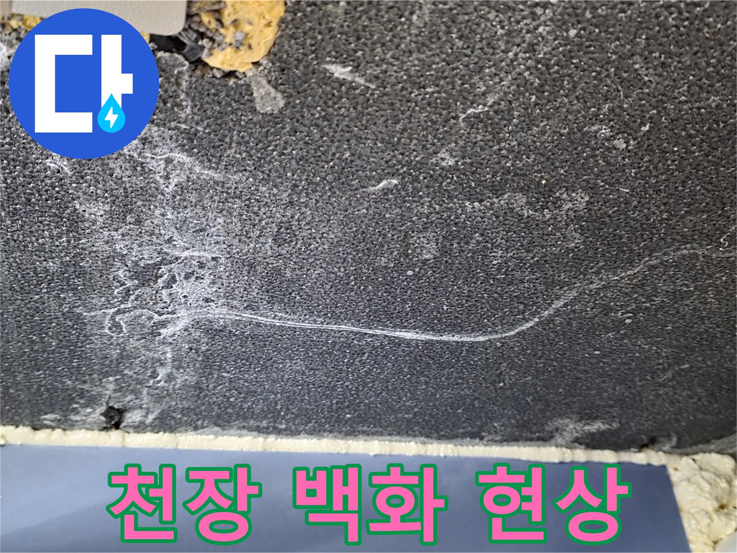 파주시 동패동 운정어반프라임 아파트 천장 누수 - 백화 현상으로 인한 누수 의심