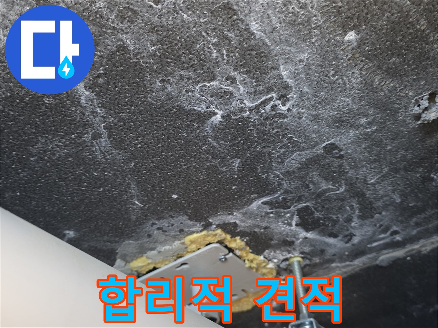 합리적인 누수 견적 - 투명하고 정직한 가격