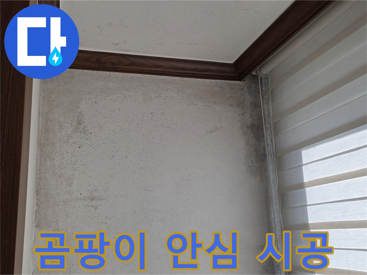 노원구 중계동 현대5차 곰팡이 누수 - 완벽 해결, 안심할 수 있는 시공