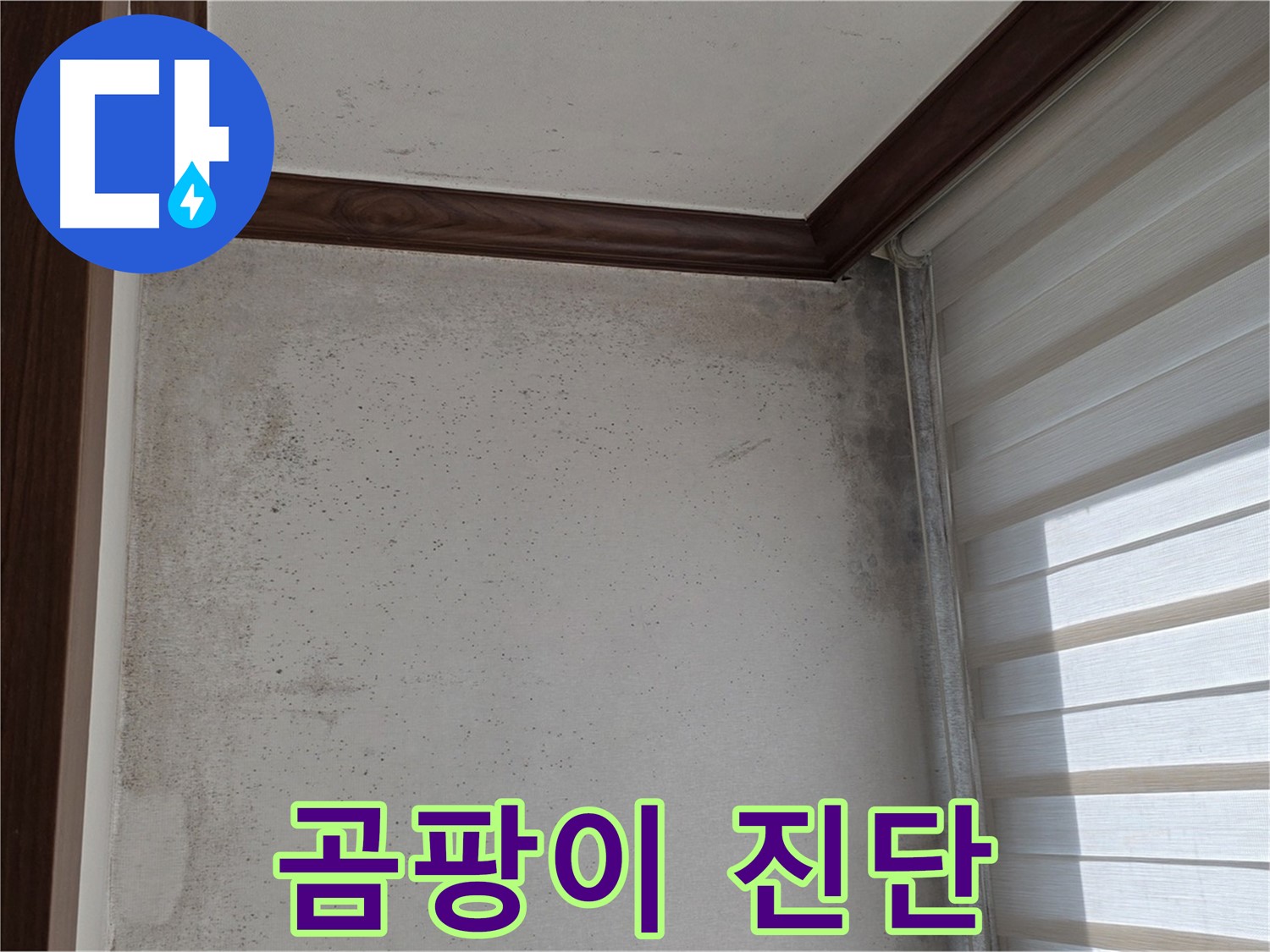 노원구 중계동 현대5차 곰팡이 누수 - 원인 진단부터 완벽 해결 책임 시공