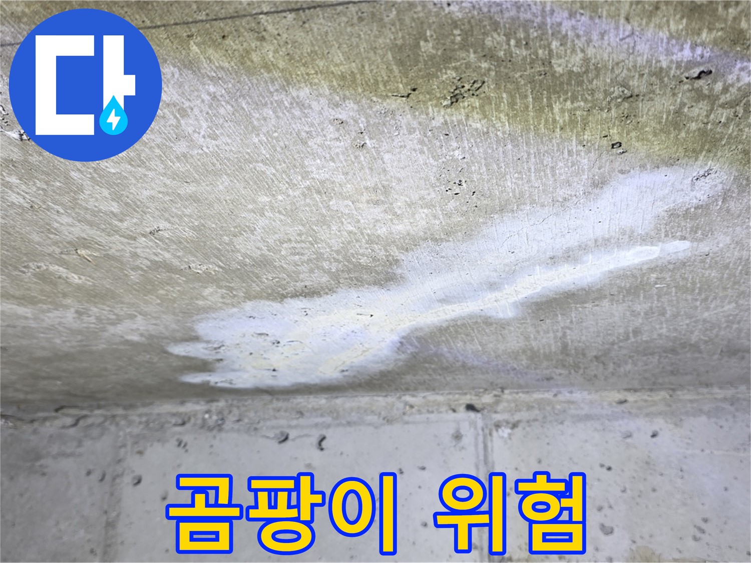 노원구 중계동 현대5차 - 누수로 인한 곰팡이 발생 위험 - 사전 예방 중요