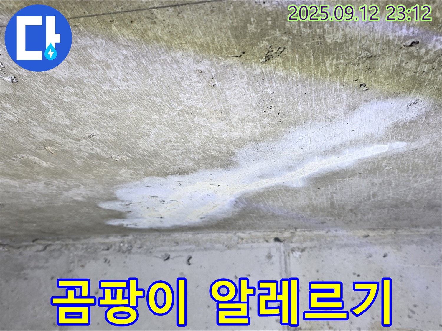 노원구 중계동 현대5차 아파트 누수 - 곰팡이 서식 알레르기 유발 - 빠른 해결