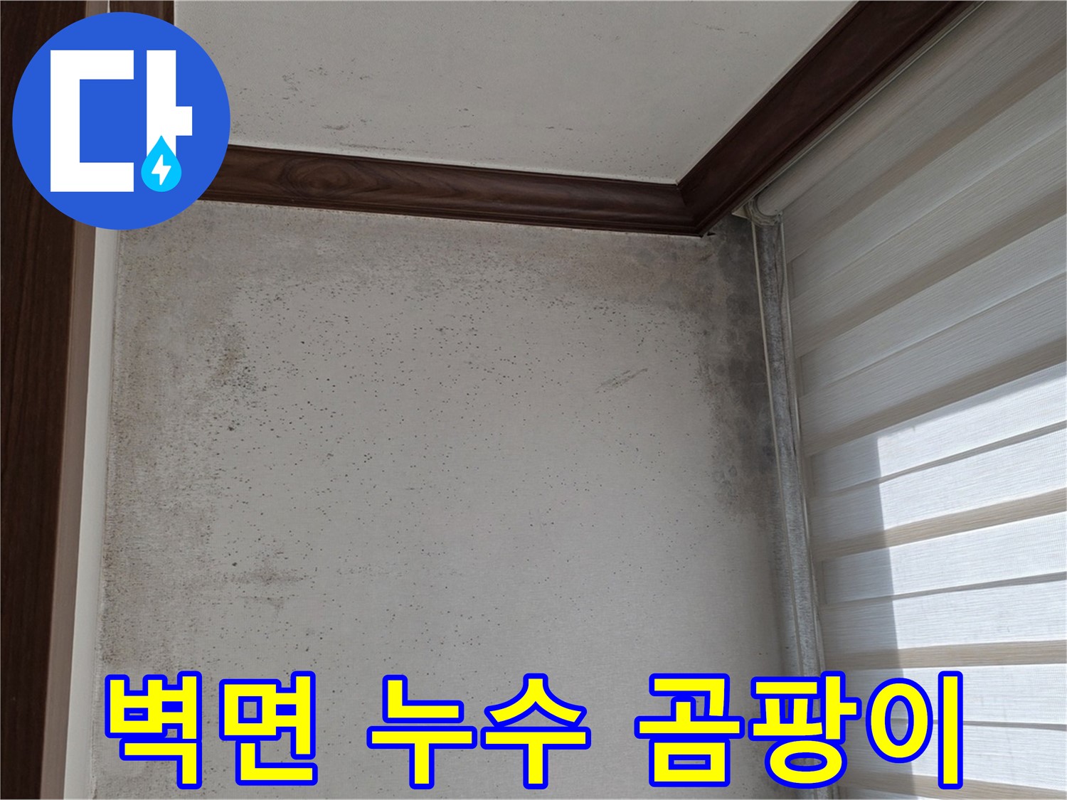 노원구 중계동 현대5차 아파트 벽면 누수 - 곰팡이 발생으로 인한 누수 문제 해결 과정