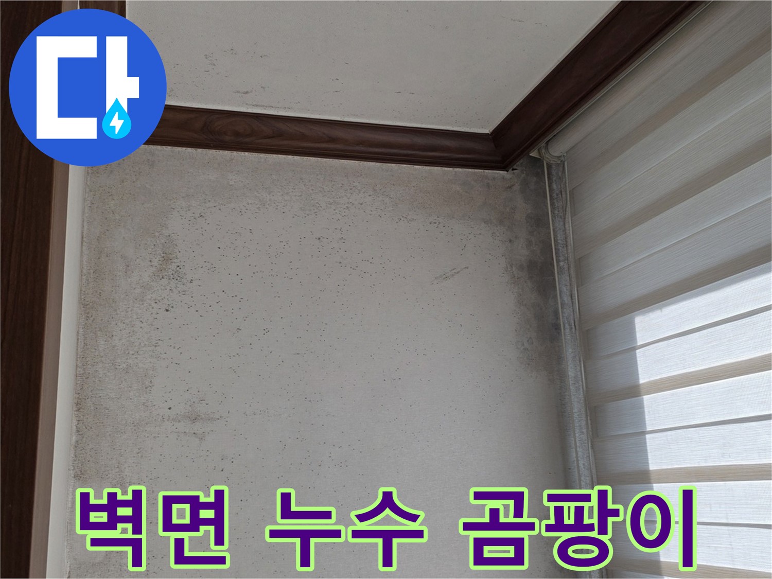 노원구 중계동 현대5차 아파트 벽면 누수 - 곰팡이 발생으로 인한 누수 문제 해결 과정