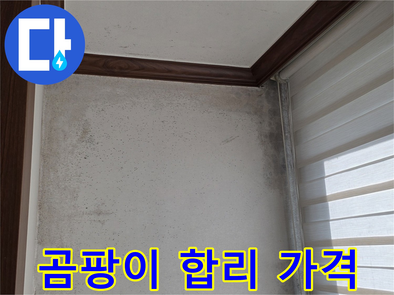 중계2동 현대5차 아파트 곰팡이 누수 - 합리적인 가격으로 완벽 해결