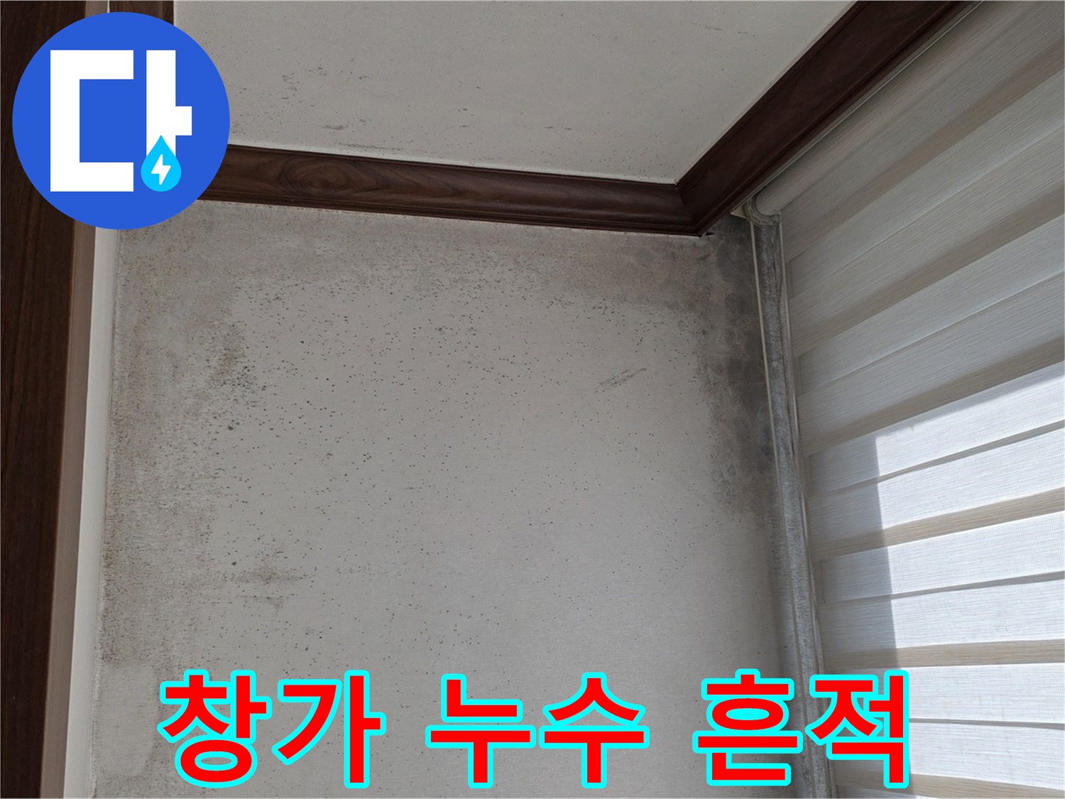 중계동 현대5차 211동 창가 누수 - 곰팡이와 함께 나타난 누수 흔적 정밀 진단