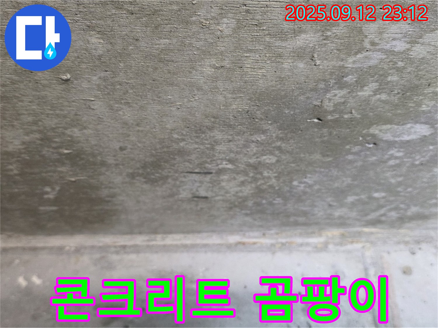 중계동 현대5차 211동 콘크리트 표면 곰팡이 - 건강 악영향 우려