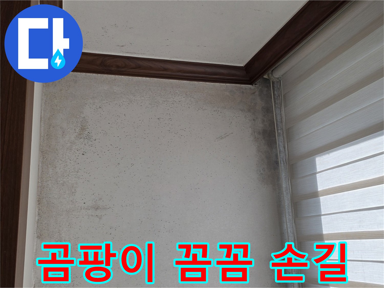 중계동 현대5차 곰팡이 누수 - 전문가의 꼼꼼한 손길로 완벽 해결
