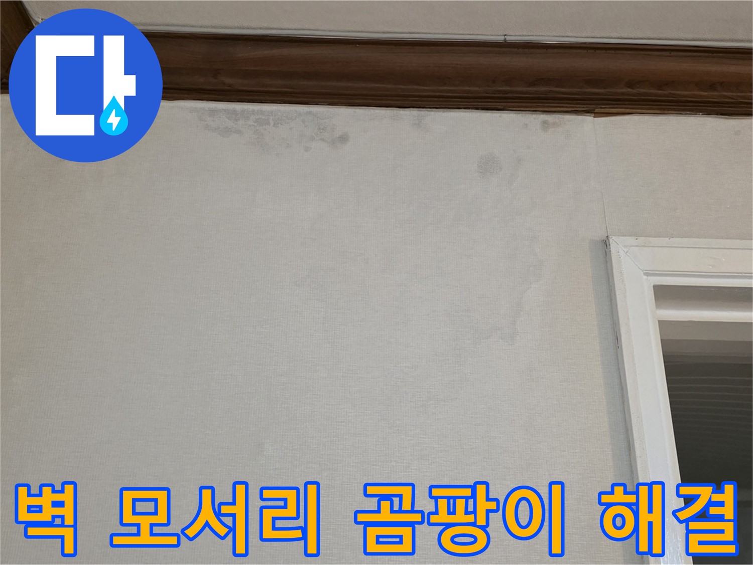 중계동 현대5차 아파트 벽 모서리 곰팡이 - 완벽한 누수 해결 및 곰팡이 제거 약속