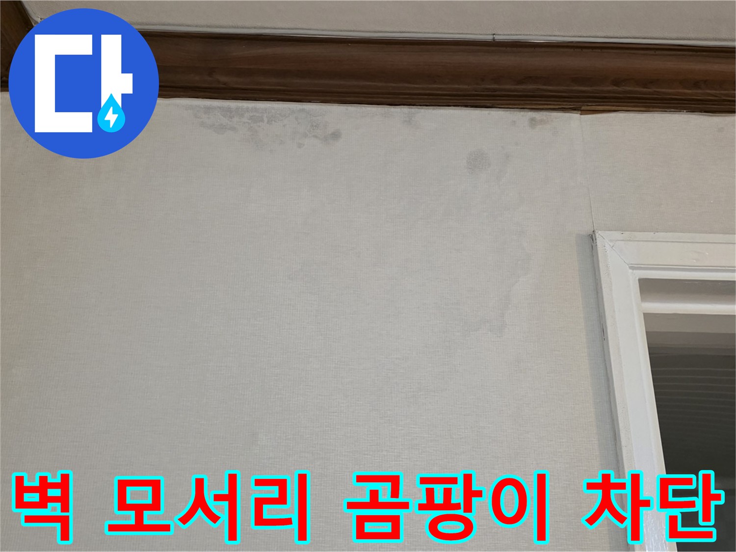 중계동 현대5차 아파트 벽 모서리 곰팡이 - 완벽한 누수 해결 및 곰팡이 차단
