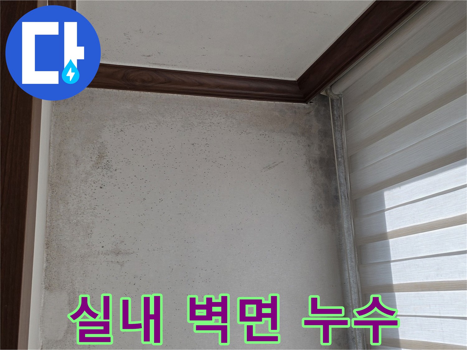 중계동 현대5차 아파트 실내 벽면 누수 - 누수 원인 진단 및 해결 과정 상세 공개