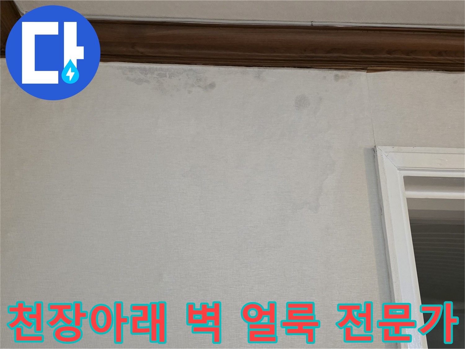 중계동 현대5차 아파트 천장아래 벽 얼룩 - 누수 문제 해결 전문가의 선택