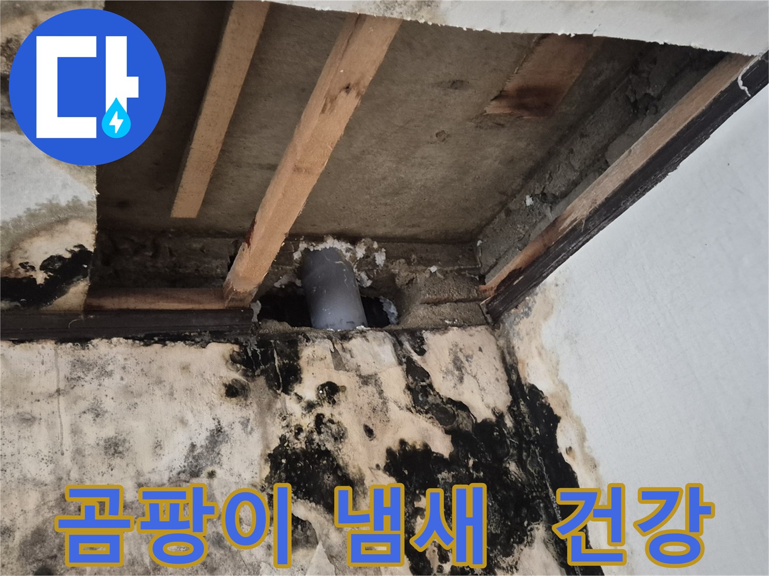 곰팡이 냄새 - 건강에 해로워요, 빠른 제거 필수