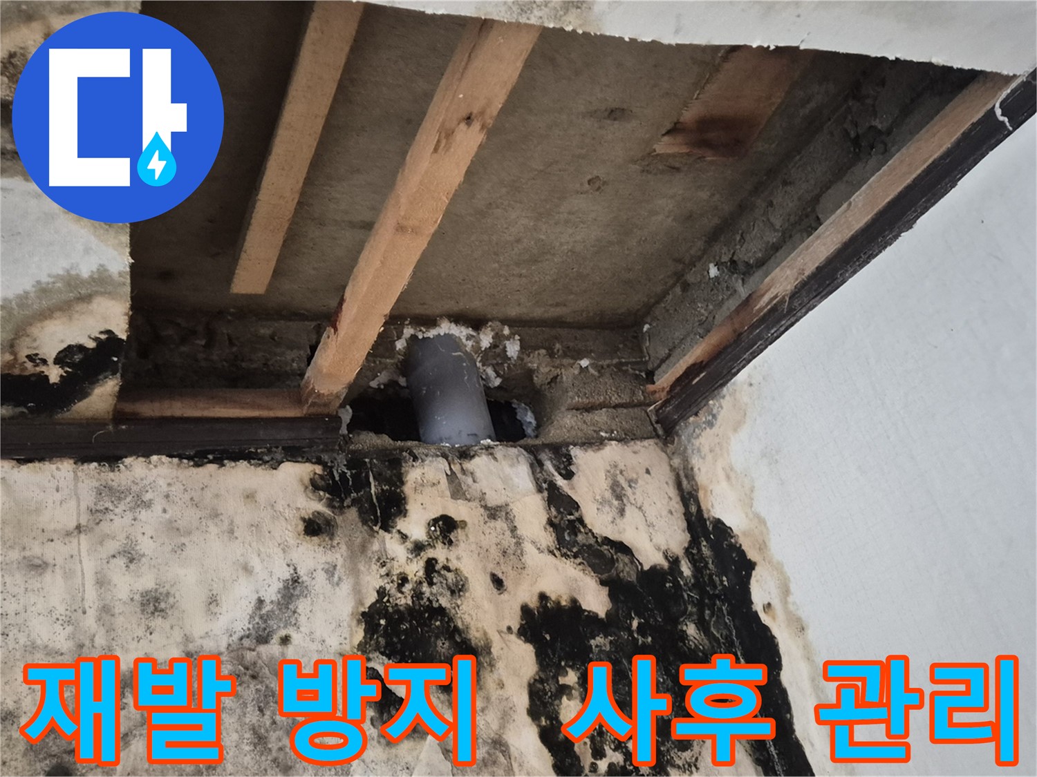누수 재발 방지 - 철저한 사후 관리 시스템