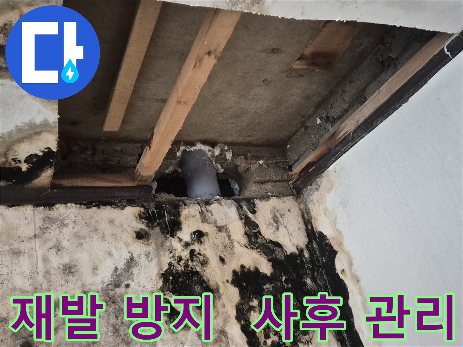 누수 재발 방지 - 철저한 사후 관리 시스템