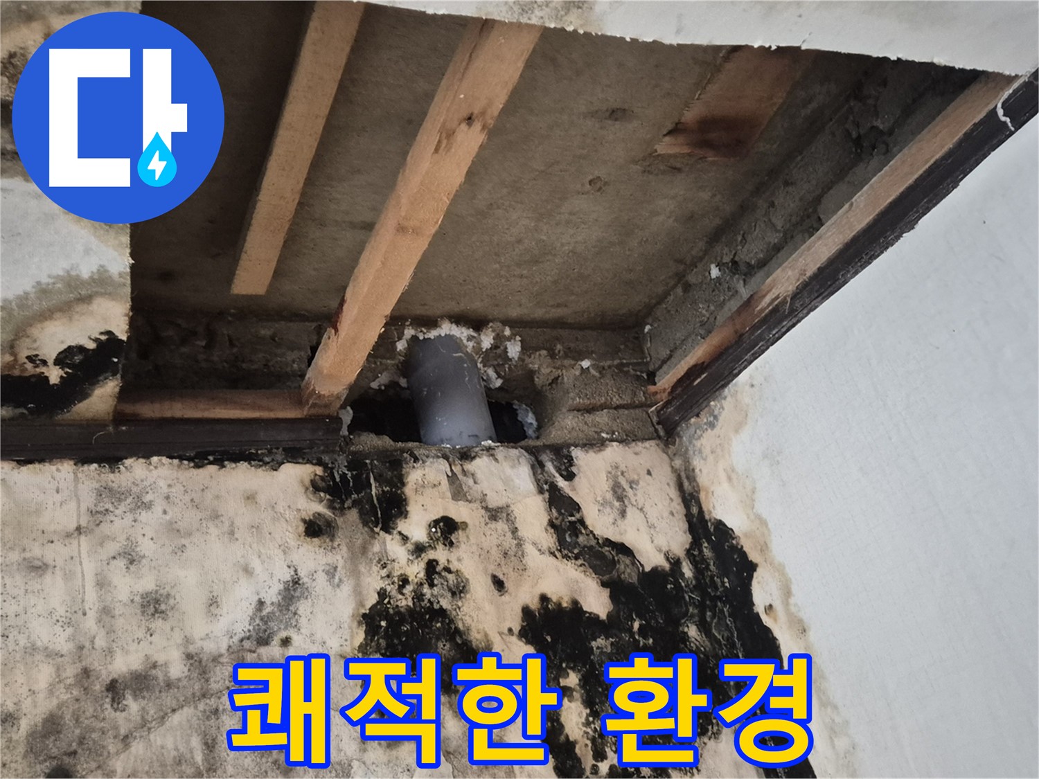 누수 해결 후 쾌적한 환경 - 건강한 공간
