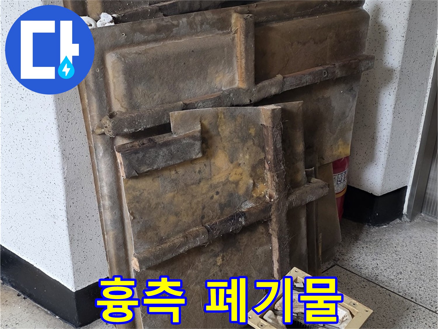 곰팡이 얼룩덜룩 흉측한 모습
