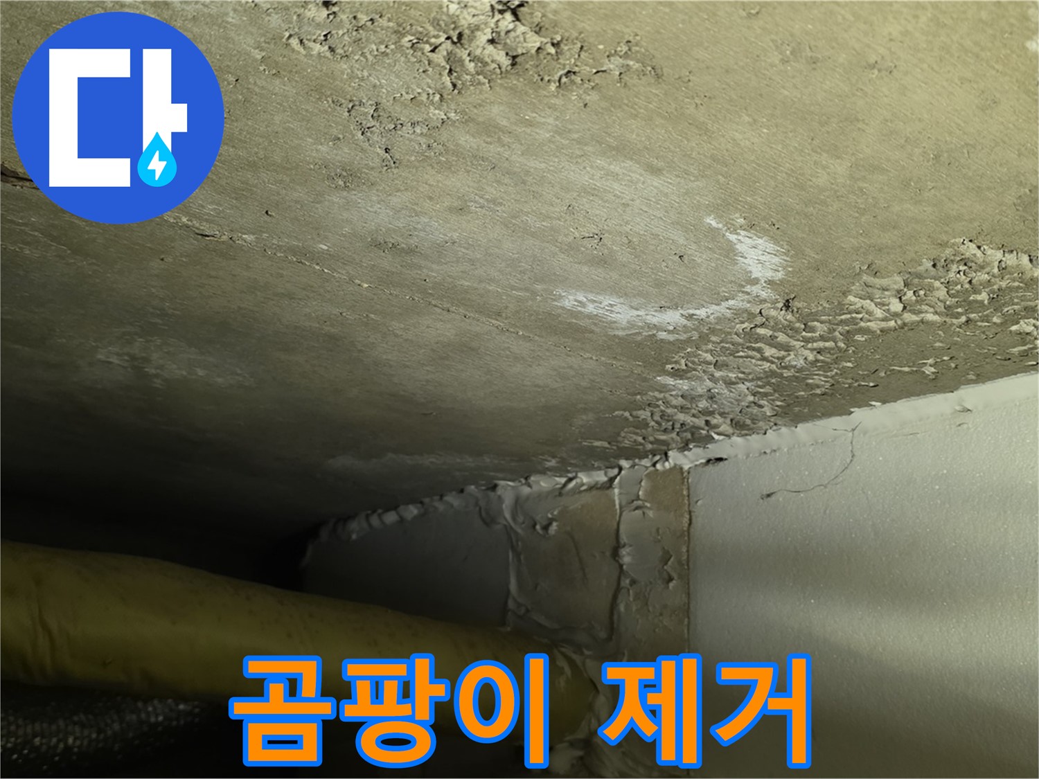 곰팡이 제거 - 항균 처리 - 건강한 공간