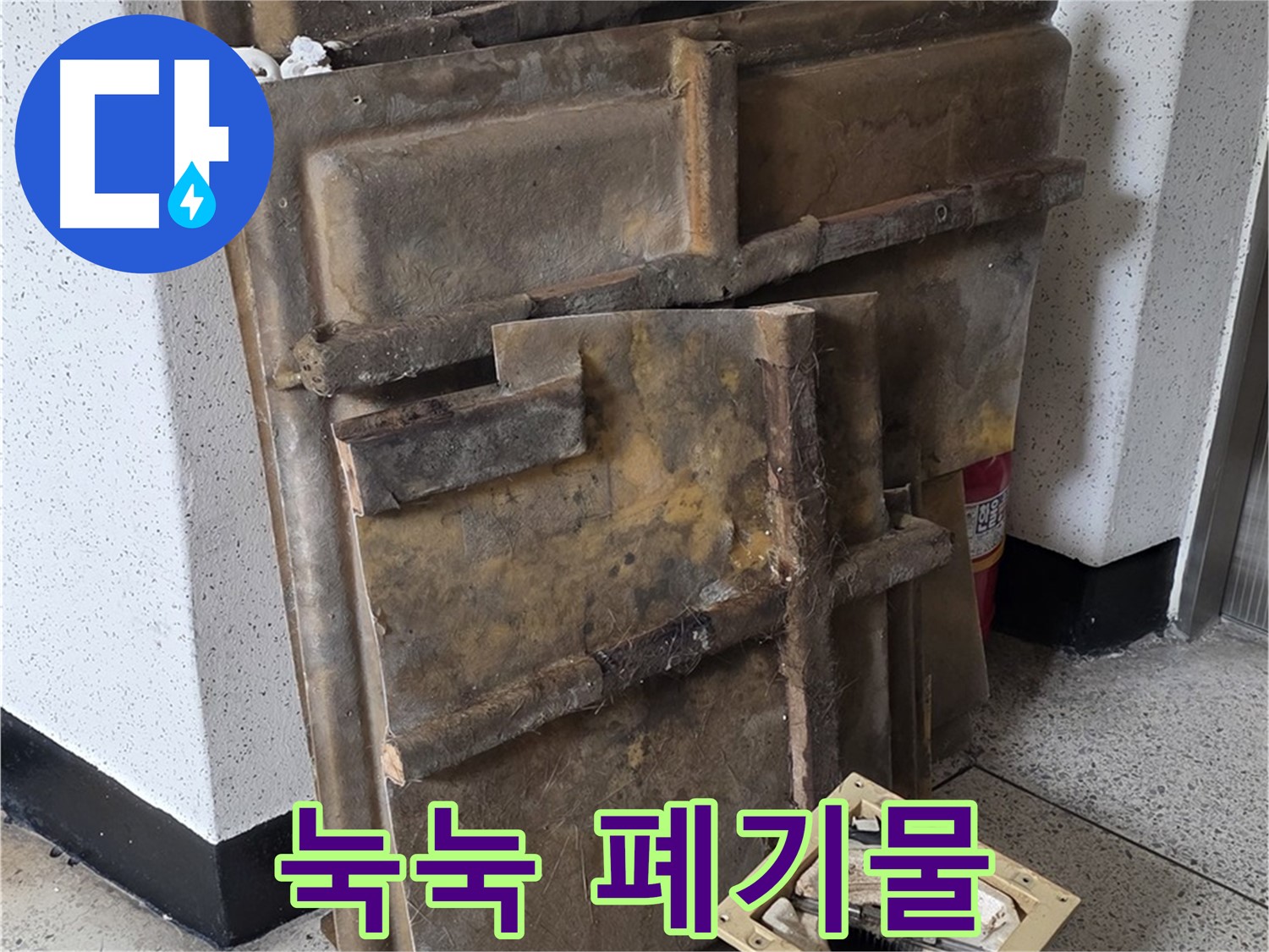 곰팡이와 습기로 눅눅한 석고보드와 조명