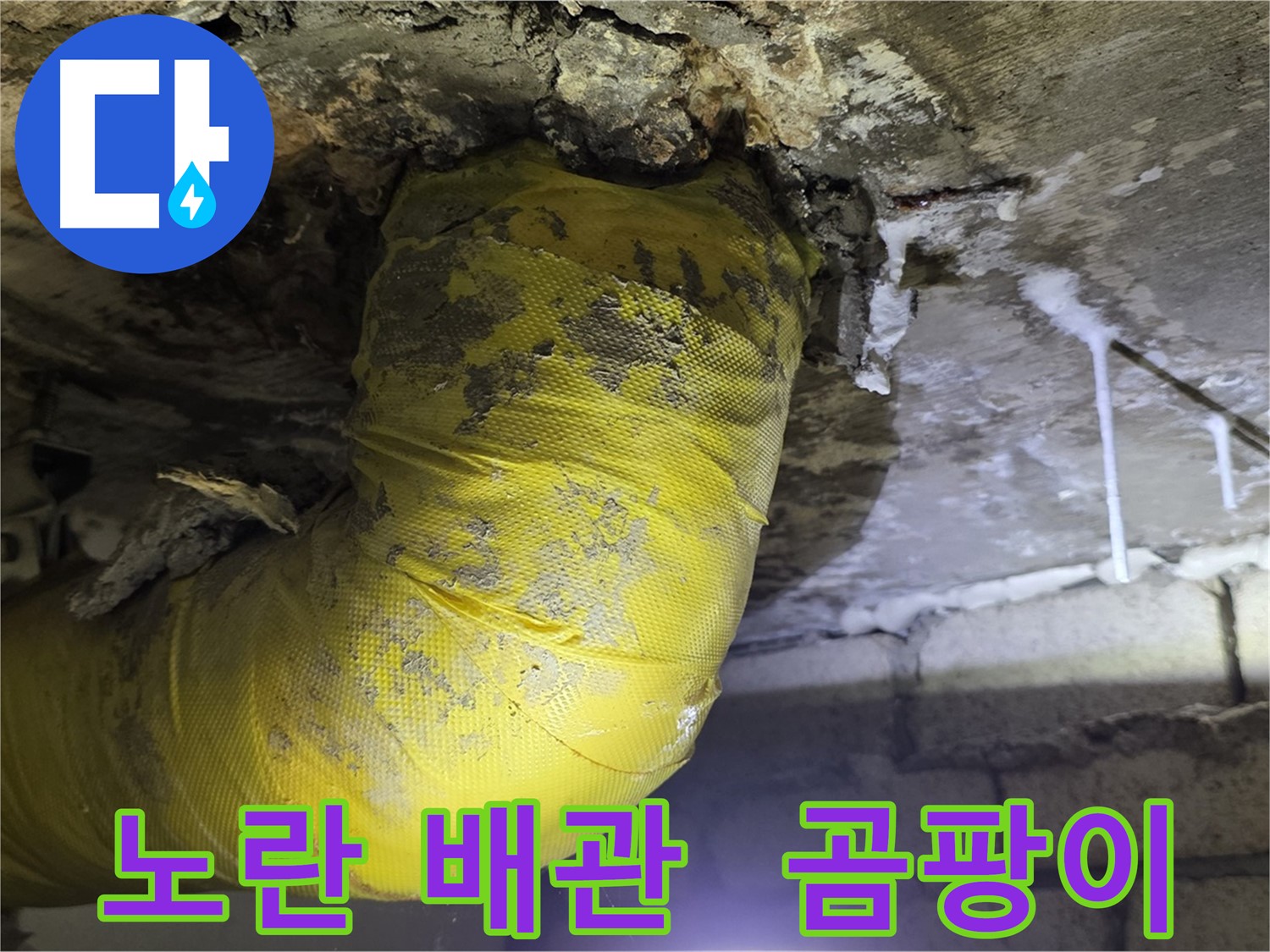 노란 배관의 절규, 곰팡이와 악취 - 서울 은평구 신사동 새절역 인근 누수 긴급 해결